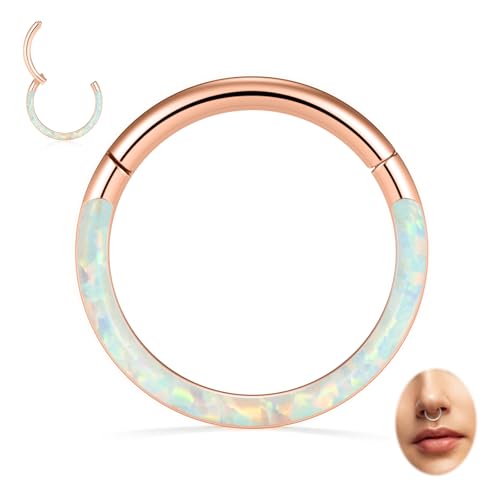 Image of PEAKLINK 16G 18G 316L Stainless Steel CZ /OPAL Septum Piercing Septum Clicker Ring Hinged Nose Ring Daith Earrings Conch Piercing Jewelry Helix Cartilage Tragus Lobe Belly Hoop Earring