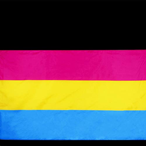 Bandeira Amosfun 1 peça de poliéster leve cor vívida Bandeira grande Bandeira de orgulho durável Ban