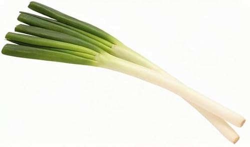 ys꒼szȖ،ق l˂ ˂ 1 250gy①z