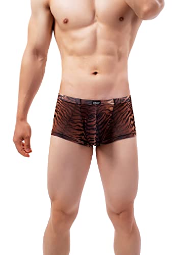 IKINGSKY Men's Tiger Stripes Boxer Briefs Breathable Bulge Shorts Underwear Sexy Low Rise Trunk Under Panties4
