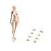 Free Ship Deal Body-Kun - Models for Artists (Wood Color, Female)