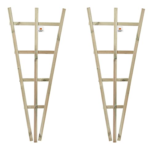 Set of 2 x Wood Fan Wall Trellis Climbing Plant Support Timber Trellises Wooden Garden Outdoor Fence Frame 120 cm x 50 cm