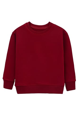 Lilax Boys Basic Crewneck Long Sleeve Pullover Cotton Kids Sweatshirt