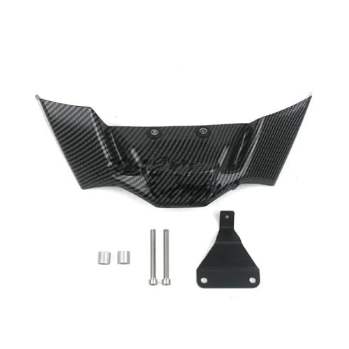 Alerones déflecteur d'aile aérodynamique moto pour BMW M1000R 2023 2024 carbone