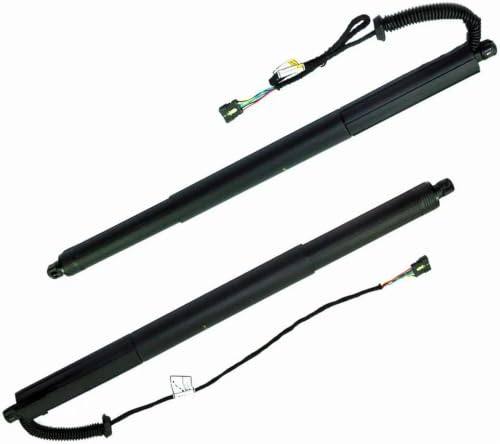 Support levage hayon électrique BMW X3 résout panne coffre bloqué - 2