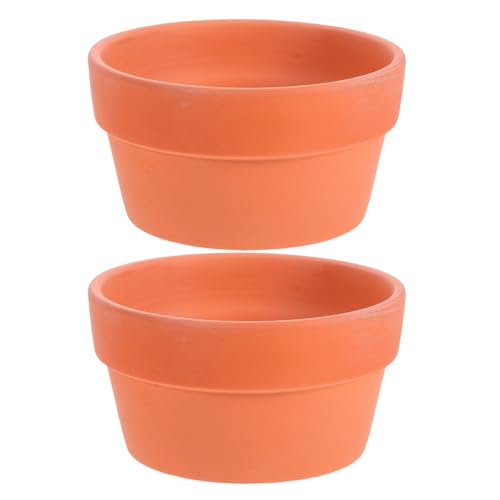 PAMINGONO 2 Piezas Macetas de Terracota Japonesas con Agujero de Drenaje para Cactus y Suculentas de Maceteros Pequeños de Barro para Bonsái y Plantas de Interior Jardineras Versátiles para