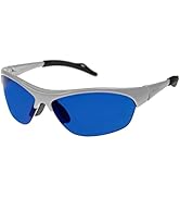 PRiSMA SpektroChrom Farbbrille BLAU (B) Entspannung & Erholung, Brille mit Farbfilter zur Farbthe...