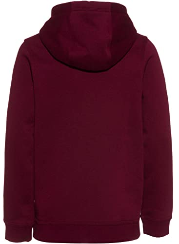 Nike Boys Sportswear Club+ Hbr Pullover Hoodie Extended Plus Sizes (as1, alpha, l, regular, Dark Beetroot/smoke Grey)2