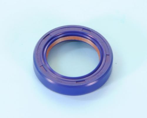 Paraolio Ptfe Motore Am6 Frizione