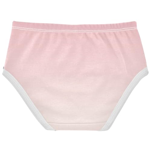 Joisal Toddler Girls Underwear 2t Cotton Panties for Girl Durable Undies Kids Briefs Ombre Pink Floral White Gradient2