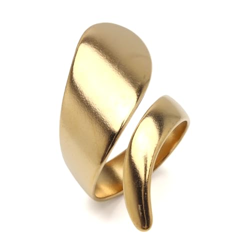 [silver KYASYA] XeX jAXO  ^O Ch S[h Vo[ v`v 傫 ݊ sK t w fB[X  AΉiS[hj