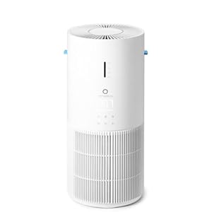 Airthereal 2 in 1 Air Purifier with Humidifier for large room up to 1325 ft², with 3-Stage Filters, Air Quality Monitor and Quiet Sleep Mode, Evaporative Humidifier with Auto Humidity Control, AEH300