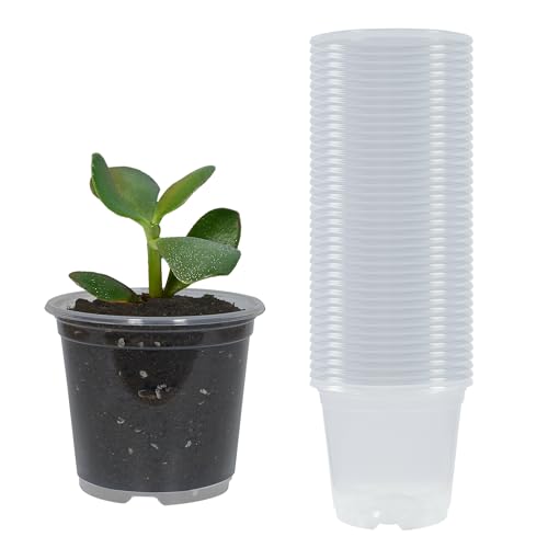 TNTIWQ 40 Pack 3 Inch Clear Nursery Pots with Drainage Plant Pots for Plants Transparent Potting Containers for Plants Seeding Starter Pot (Clear, 3 Inch 40 Pcs)