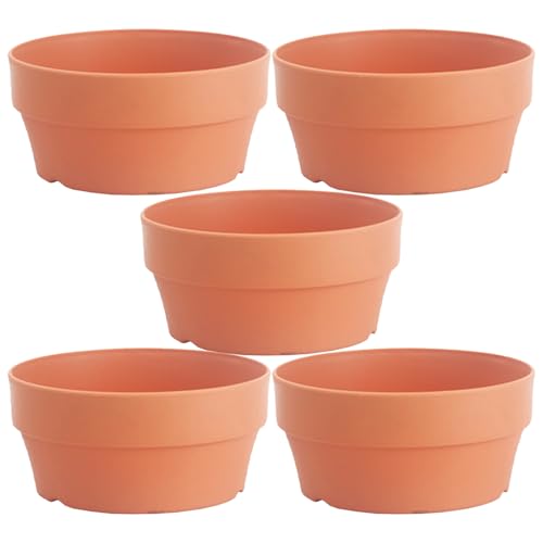 NUOBESTY Macetas Decorativas de Plástico Imitación Terracota Redondas Pequeñas de 16 CM Drenaje Juego de 5 Unidades para Suculentas Interior y Jardín Exterior