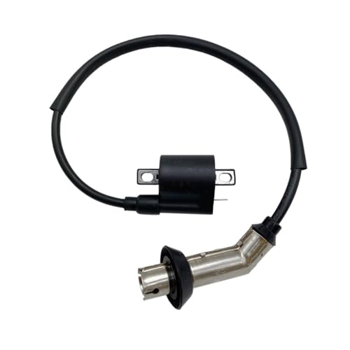 Bobina de encendido para XY250STXE y Quad ATV de 250 cc