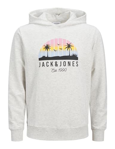 JACK & JONES Jjpalm Sweat Hood
