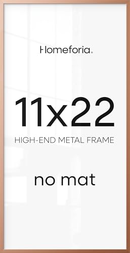 Image of Homeforia 11x22 Rose Newspaper Picture Frame, High-End Metal, Glass | High End Aluminum, Tempered Glass, 11x22 in Edge-to-Edge Display 22x11, Wall Kit, Set Of 1