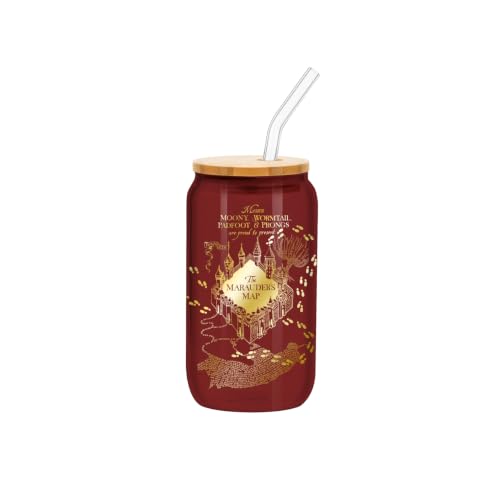 Image of Silver Buffalo Harry Potter Map & Quotes Glass Tumbler Set, 16oz