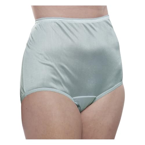 Image of Teri Women's 331 Plain Jane Classic Nylon Silky-Smooth Lightweight Breathable Full Coverage Brief Panty - 4 Pack