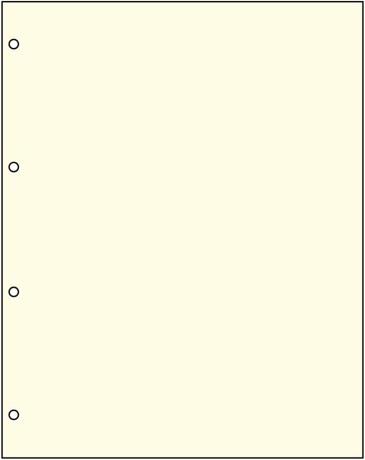 LINDNER Das Original Pack of 10 Blank Sheets 235mm x 297mm with 4 Ring Holes