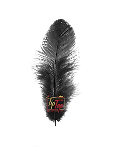 Image of TIPTOP DECORATION Natural Dyed Feathers 10 cm (80 pieces) (Black)