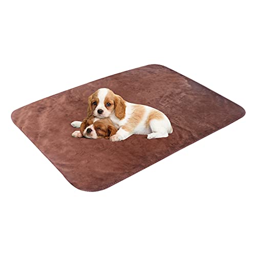 Vejaoo Manta de Perro Grande, Cojín de Sofá Impermeable y Cálido Cama para Perro Grande XZ036 (150 * 127CM, Coffee) Cover