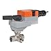 Belimo Aircontrols (Usa), Inc. Characterized Control Valve