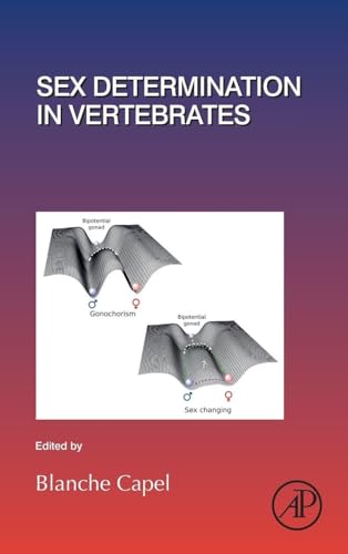 Sex Determination in Vertebrates (Volume 134) (Current Topics in Developmental Biology, Volume 134)