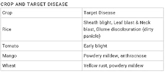 Bayer Nativo Systemic Fungicide Granules (100Gm)
