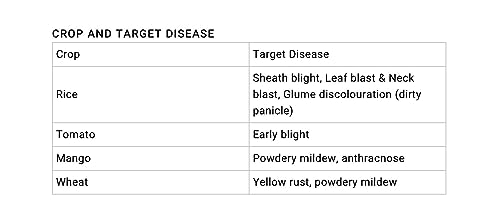 Bayer Nativo Systemic Fungicide Granules (100Gm)