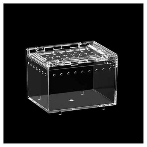 ���v�^�C���{�b�N�X ঒��ގ��甠 ����Z�b�g ঒��ށE�����ޗp����P�[�X�E�P�[�W ���� �E�o�ɂ������������� �����^�т₷�� �ʋC�������ς� �ꕔ�͈����o�����ŊȒP�ɂ��|���ł��܂� �g�J�Q/�N��/�J�G���T//��/�^/�����ȂǓK�p (���a��10×8×7cm)