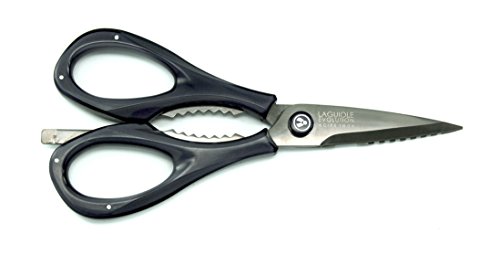 aguiole Évolution - Ciseaux professionnels de cuisine 7 fonctions - Lames détachables en acier inoxydable - Poignées ABS - Design Acidulé coloris noir - 22.5 x 10 x...