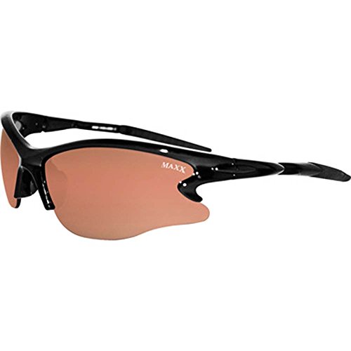 Envy Black Body Adult Sun Glasses