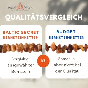 Bernsteinkette Hund | Bernsteinhalsband für Hunde und Katzen | Hundehalsband I Natürliches Halsband Hund aus echt Bernstein