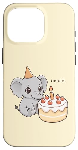 t@j[Gt@g a C I[ho[Xf[P[L  j̎q ̎q X}zP[X iPhone 16 Pro p