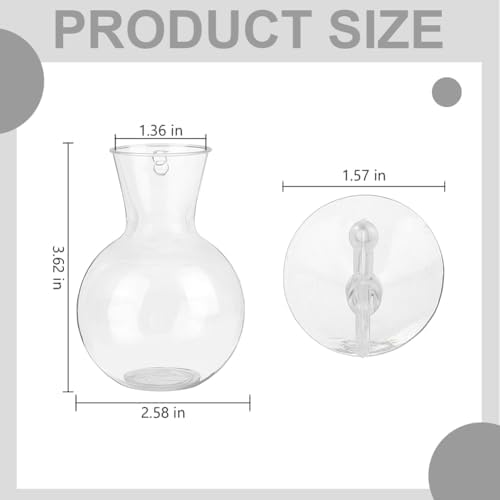 Doodlream 8 PCS Window Hanging Propagation Stations, Glass Water Planting Vases with Suction Cups, No Nails Wall Hanging Hydroponic Plant Terrariums for Pothos Ivy Herbs, Indoor Home Garden Decor - 1
