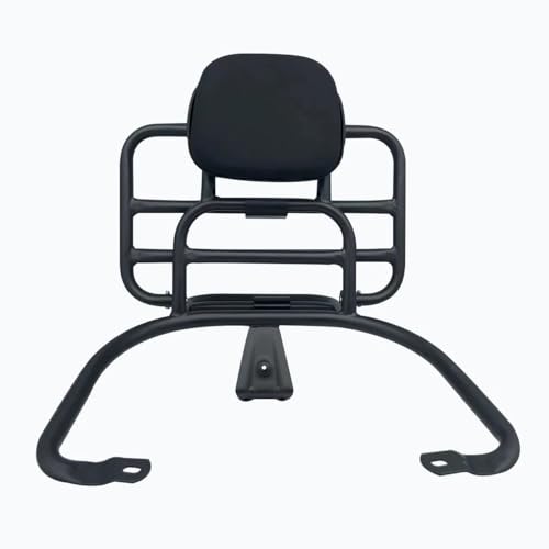 Support arrière coussin passager de moto pour Primavera GTS300 dossier scooter 2019