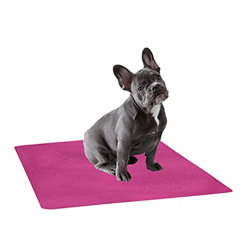 Image of Trance Waterproof Pet Training Pads | Reusable Pee Pad for Dogs Cats Puppy and Pets | Washable Pet Dry Sheet | Potty Trainer | Soft and Hypo-Allergenic (Large, Size 1.4 x 1 m | 140 x 100 Cms, Berry Pink)
