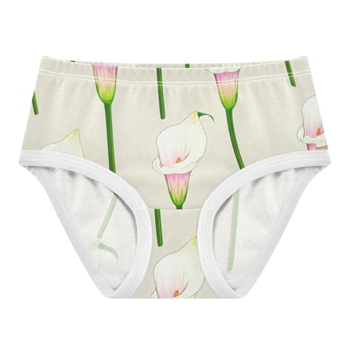 Floral Calla Lilies Pink Beige Cute Panties Girl Toddler Girls Underwear Cotton Print Kids Briefs Undies 2t
