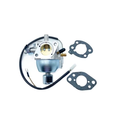Carburateur pour 073112B-A résout les fuites essence RV