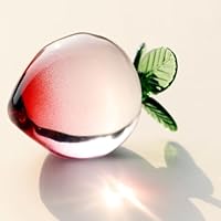 Amazon.co.jp: Crrezhai クリスタルペーパーウェイト