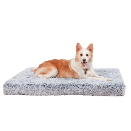 BingoPaw Cama Perro de Espuma Viscoelástica Colchón Ortopédico Impermeable y Lavable para Perros Cama Sofá Suave para Mascotas XXL 120x90x10cm para Perro hasta 53KG Cover
