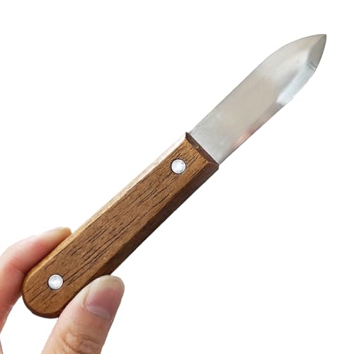 Acoeitl Coltello per sgusciare ostriche da 7,4 cm, in acciaio inox, lama ispessita, manico in legno marrone scuro, antiscivolo, strumento per ostriche per frutti di mare, ostriche, capesante, vongole