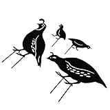 Art de jardin en métal de caille : une décoration pour votre jardin, pelouse, design réaliste et apparence vive, décorative et unique, caille de jardin en métal