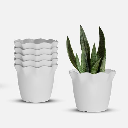Image of YUCCABE ITALIA SHERA 8 Inch Plastic Flower Pot 6 Piece Set of Unbreakable Round Shape Planter for Home Garden Seedling, Indoor and Outdoor (White)
