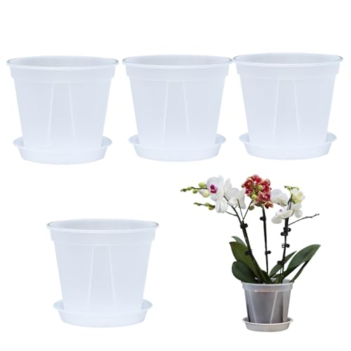 Pot de orquídea Transparente 4pcs 5.5x4.7 Pulgadas Plantas Transparentes Casas Transpirables Anti-Caza de macetas con Agujeros y platillos para al Aire Libre Interiores