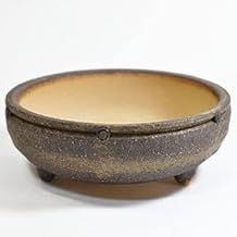 Bonsai Myo Plant Pot, Ceramic Pot, Bonsai Pot, Wild Grass Pot, No. 5, Brown, Round, Shallow Type, Small Pattern (Medium), Width 5.9 x Height 2.4 inches (15 cm) x Height 2.4 inches (6 cm), Bottom Wire