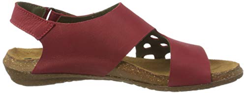 El Naturalista S.A N5061