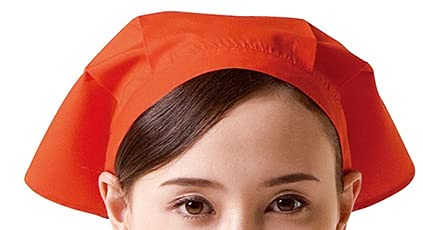 `gZ arbe017 iAxj AS-5925 Op t[ C-10FubN t[hT[rXjtH[