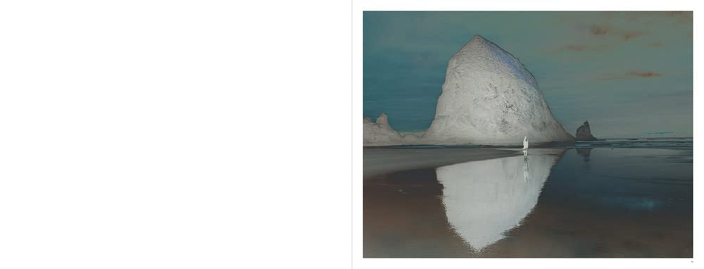 Richard Misrach Notations /anglais